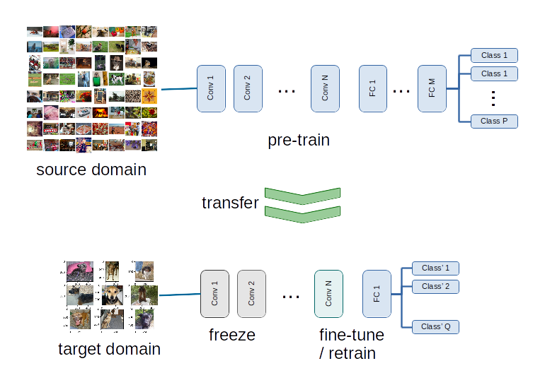 transfer learning example